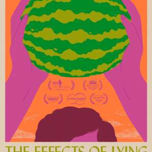 The Effects Of Lying Poster